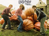 Harry, Ron and Hermiony in the pumpkin patch movie wallpaper download