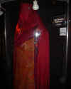 trek_053.jpg (42552 bytes)