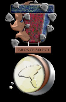 Bronze Select Award 2003