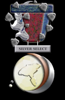Silver Select Award 2004